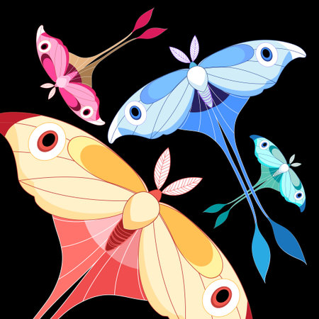 colorful beautiful butterfly on a black backgroundのイラスト素材