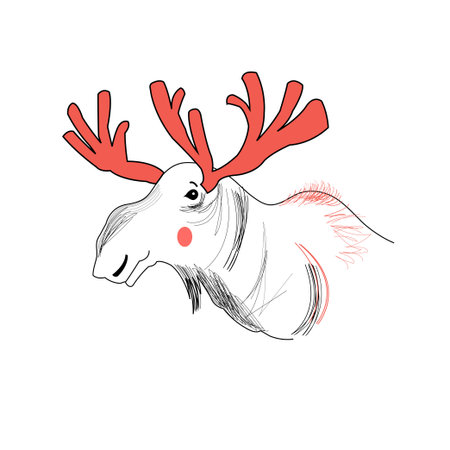 Large graphic portrait of moose on white backgroundのイラスト素材