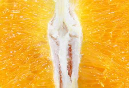 bright a orange fruit background orange sectionalの写真素材