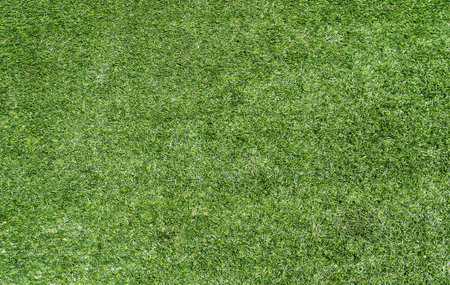 background green grass illuminated by the sunの写真素材