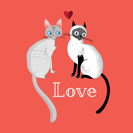 funny cats in love on a red backgroundのイラスト素材