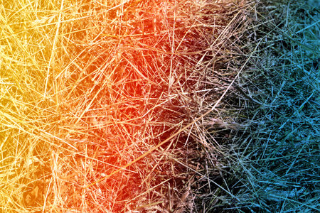 Photo macro dried a hay in villageの写真素材