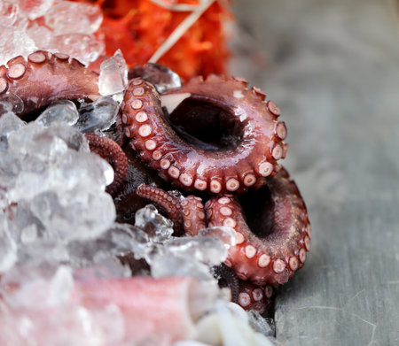 Octopus are on ice photographed close upの写真素材
