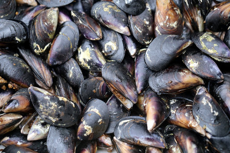 dark texture of the walls of the house are photographed close-upの写真素材