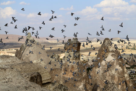 Beautiful cone rock in Cappadocia Turkey is photographed close-up pigeon Valleyの写真素材
