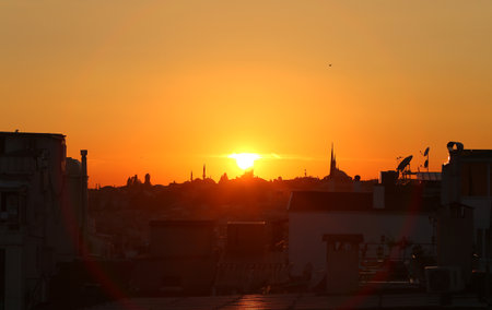 Beautiful sunset with bright light in rustic fieldの写真素材