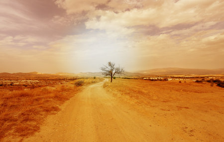 Beautiful view of the road in Cappadocia in Turkeyの写真素材