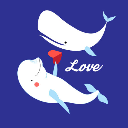 Graphic illustration of white whales in love on a blue backgroundのイラスト素材