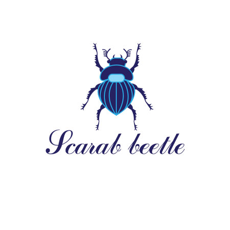 Vector Scarab beetle isolated on a white backgroundのイラスト素材