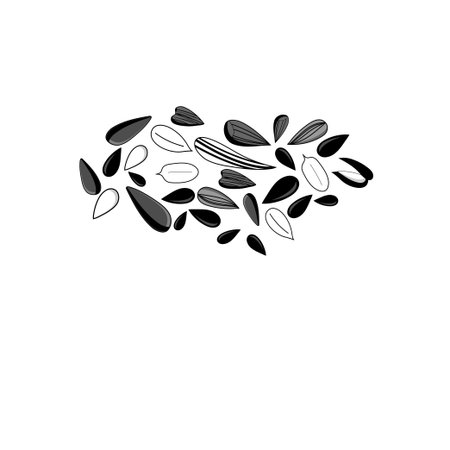 Vector illustration of different black seeds on a white backgroundのイラスト素材