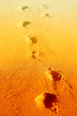 Photos background with bright sand and deep tracksの写真素材