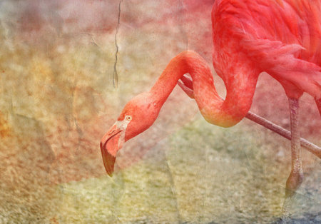 Photos bright watercolor background with red flamingosの写真素材