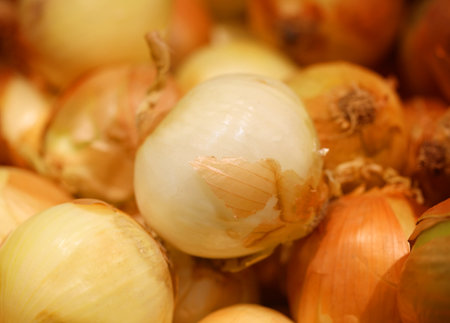 Photos background bright orange large group onionの写真素材
