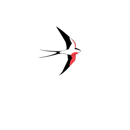 Symbol of a swallow flying in a white backgroundのイラスト素材