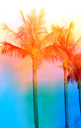 Retro photo of palm trees on a tropical islandの写真素材