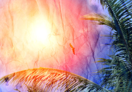 Retro photo background with palm trees