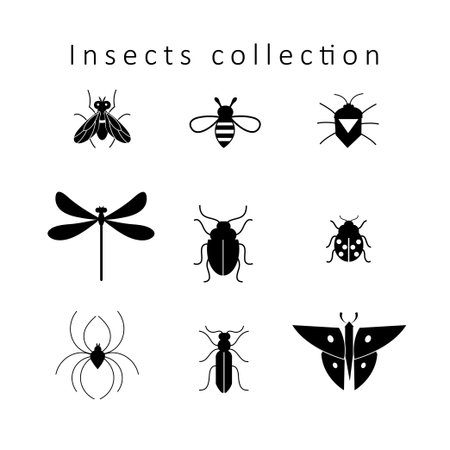 Set of different insects isolated on whiteのイラスト素材