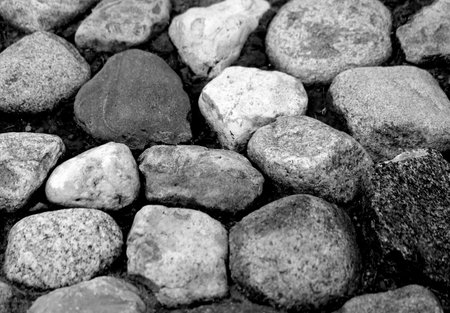 Photo background macro large stones on the groundの写真素材