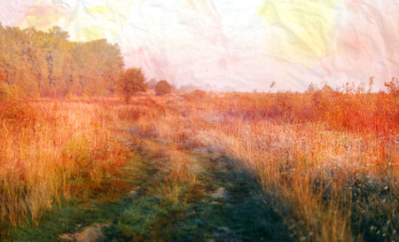Photo of a beautiful autumn road among the fields