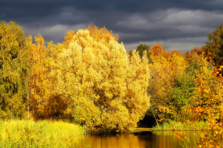 Bright photo of autumn trees and a pond on a sunny afternoonの写真素材