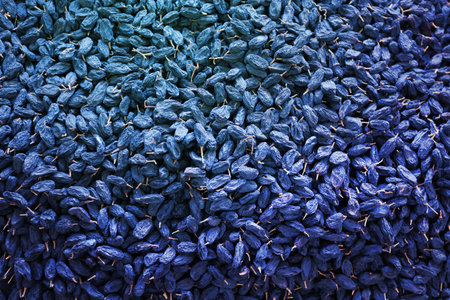 Photo of macro tasty dried raisins on the market