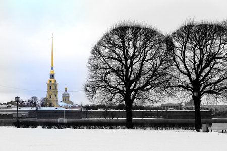 Photo beautiful winter landscapes in the city of St. Petersburg in Russiaの写真素材