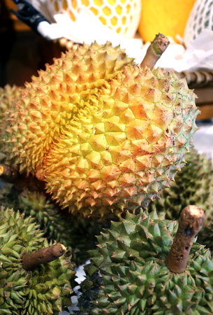 Photo of macro bright delicious durians in a shop window