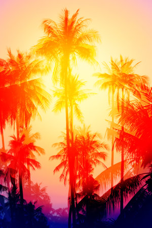 Photo of bright tropical coconut palms on a sunny islandの写真素材