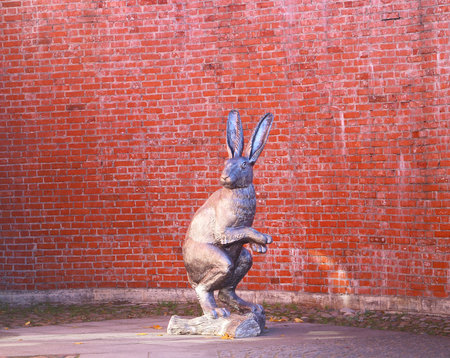 Beautiful Photo of a hare sculpture on a hare island in St. Petersburgの写真素材