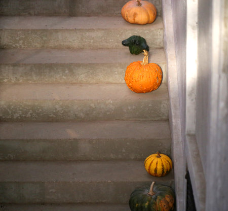 Macro photo of an orange pumpkin on the stairs in a cafeの写真素材