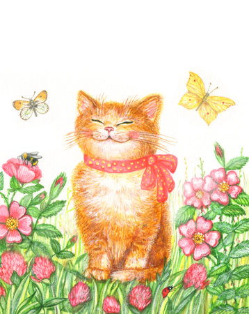 Watercolor drawing funny kitten on a floral background with butterfliesの写真素材