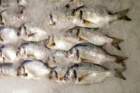 Photo background close-up delicious fish in ice on the shop counter