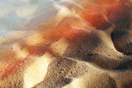 Photo background white sand on the beach during sunny dayの写真素材