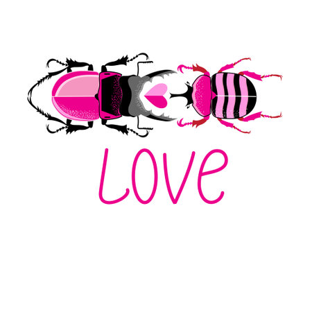 Vector bright loving beetles on a white background. Valentine day.のイラスト素材