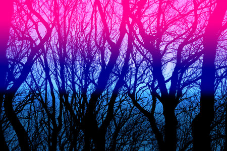 Photo beautiful trees in the park in the eveningの写真素材