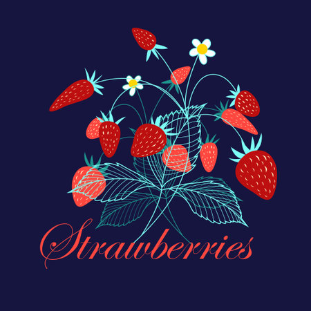Bright vector card with delicious strawberries on a dark backgrのイラスト素材