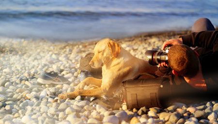 Photo of a photographer shooting a dog on the beach on a Sunny evening.の写真素材