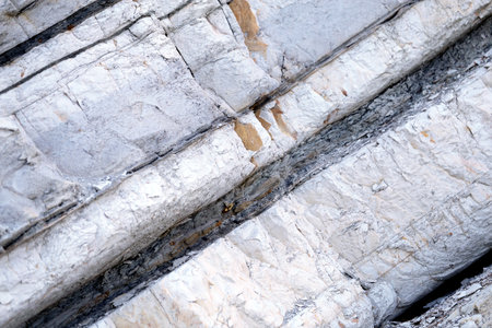 Photo background texture white rocks macro