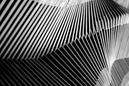 Texture abstract wood shapes