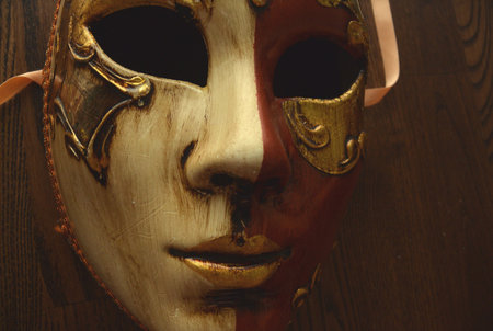 Venezia maskの素材