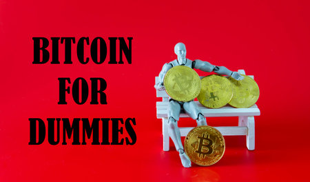 Bitcoin Cryptocurrency. Digital Currency of The Future. Selective focus of a doll on the knee holding bitcoin replica.の写真素材