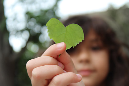 Girl holding a green tree leaf in the shape of a heart with her handの写真素材