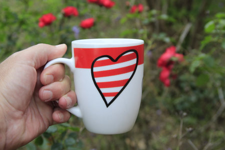 Cup of coffee in the garden with red roses on background.の写真素材
