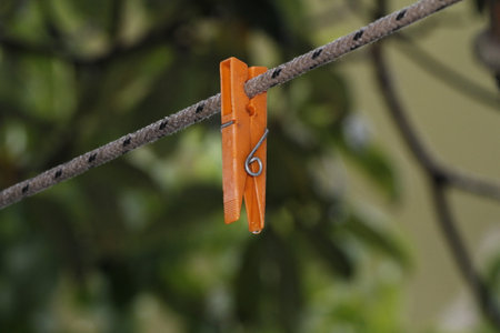 Clothespin on a rope in the rainforest, Thailand.の写真素材