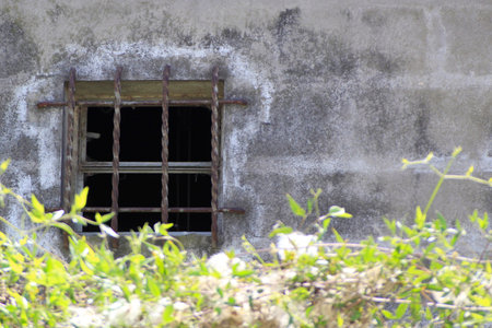 Abandoned building with a window in the middle of the grass