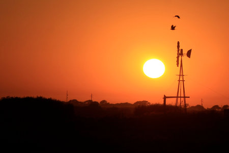 Sunset in the field with windmill and a flock of birdsの写真素材