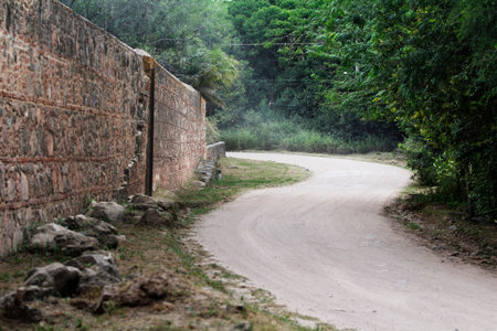 Dirt road in the forest with stone wall and green trees.の写真素材