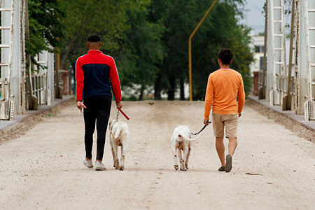 Rear view of young couple walking with their dog on the street