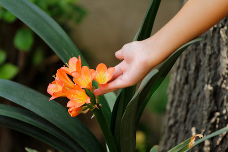Hands of young woman holding orange lily flower on natural background