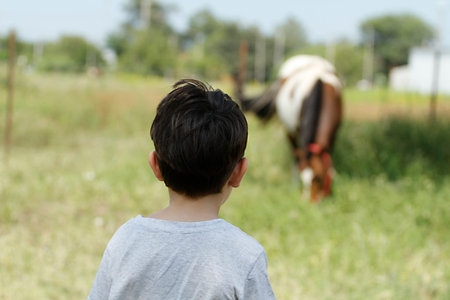 Little boy looking at a horse in a field on a sunny dayの写真素材